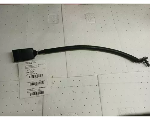 Freightliner CASCADIA Seat Belt