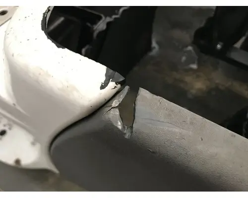 Freightliner CASCADIA Skirt
