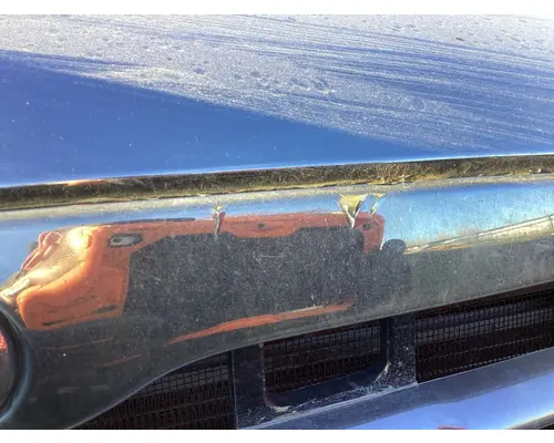 Freightliner COLUMBIA 120 Hood