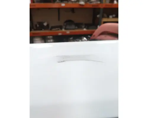 Door Assembly, Front FREIGHTLINER CASCADIA 113-125 LKQ Wholesale Truck Parts