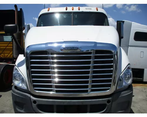 Hood FREIGHTLINER CASCADIA 113 2008-2020 LKQ Heavy Truck - Tampa