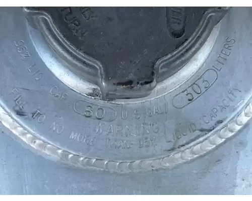 Freightliner Cascadia 113 Fuel Tank