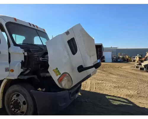 Freightliner Cascadia 113 Hood