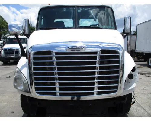 Hood FREIGHTLINER CASCADIA 113 LKQ Heavy Truck - Tampa