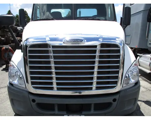 Hood FREIGHTLINER CASCADIA 113 LKQ Heavy Truck - Tampa