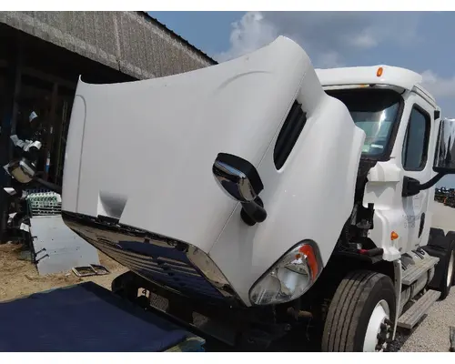Hood FREIGHTLINER CASCADIA 113 LKQ Thompson Motors - Wykoff