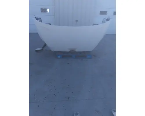 Hood FREIGHTLINER CASCADIA 113 LKQ Thompson Motors - Wykoff