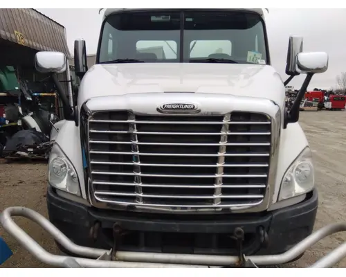 Hood FREIGHTLINER CASCADIA 113 LKQ Thompson Motors - Wykoff