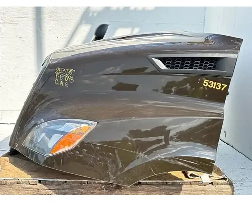 Freightliner Cascadia 116 Day Cab Hood