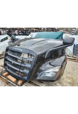 Freightliner Cascadia 116 Day Cab Hood