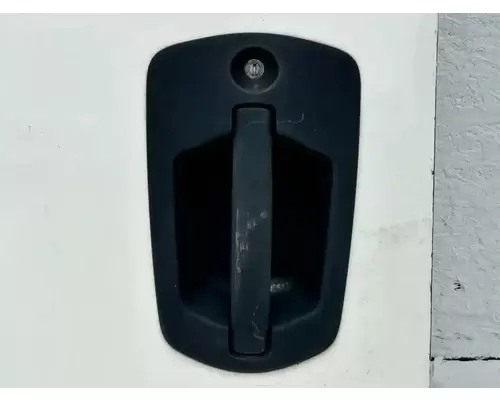 Freightliner Cascadia 116 Door Assembly, Front