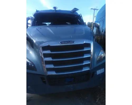 Grille FREIGHTLINER CASCADIA 116 LKQ Plunks Truck Parts And Equipment - Jackson