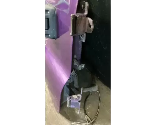 Freightliner Cascadia 125 Door Assembly, Front