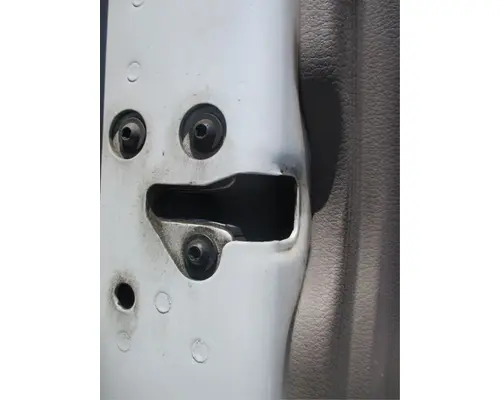 Door Assembly, Front FREIGHTLINER Cascadia 125 Geco - Dinuba