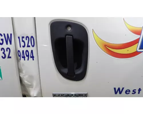 Door Handle FREIGHTLINER CASCADIA 125 LKQ Thompson Motors - Wykoff