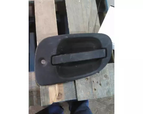 Door Handle FREIGHTLINER CASCADIA 125 LKQ Thompson Motors - Wykoff