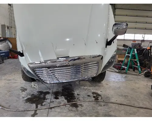 Hood FREIGHTLINER CASCADIA 125 LKQ Thompson Motors - Wykoff