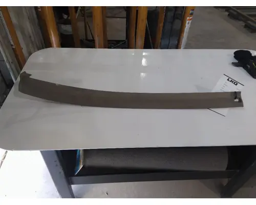 Interior Parts, Misc. FREIGHTLINER CASCADIA 125 LKQ Thompson Motors - Wykoff