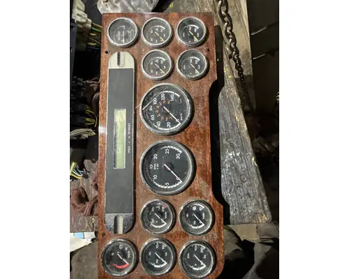 Instrument Cluster FREIGHTLINER CASCADIA 125BBC Truck Salvage International Inc