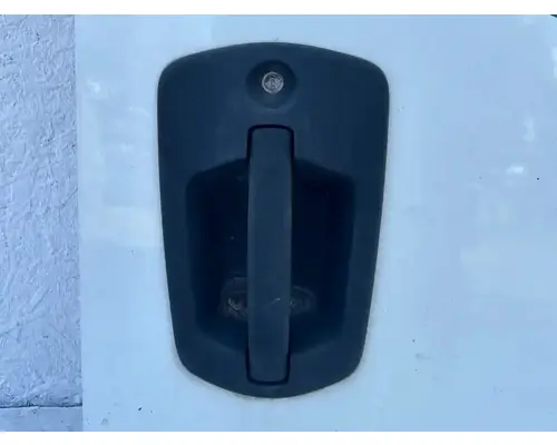 Freightliner Cascadia 126 Door Assembly, Front
