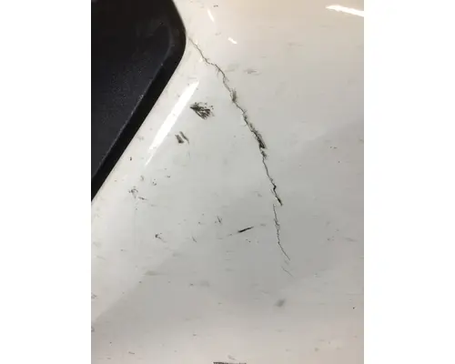 Hood FREIGHTLINER CASCADIA 126 LKQ Evans Heavy Truck Parts