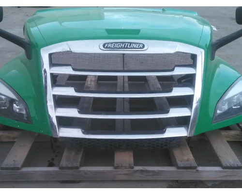 Hood FREIGHTLINER CASCADIA 126 LKQ Plunks Truck Parts And Equipment - Jackson