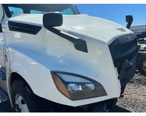 Mirror (Interior) Freightliner Cascadia 126 Holst Truck Parts