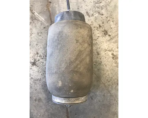 Air Bag (Safety) FREIGHTLINER CASCADIA Payless Truck Parts