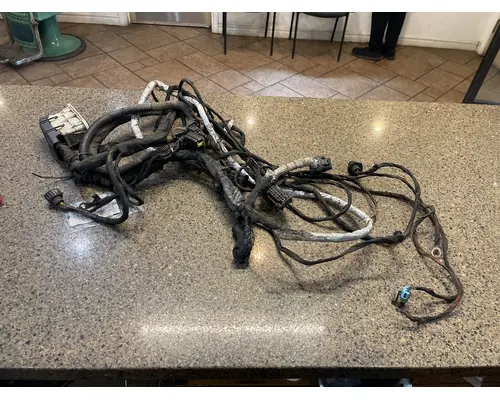 Body Wiring Harness FREIGHTLINER CASCADIA Truck Salvage International Inc
