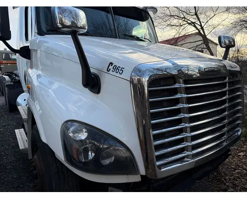 Hood FREIGHTLINER Cascadia Mtt Driveaway &amp; Repair