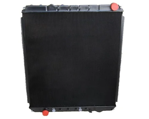 Radiator FREIGHTLINER CASCADIA LKQ Plunks Truck Parts and Equipment - Jackson