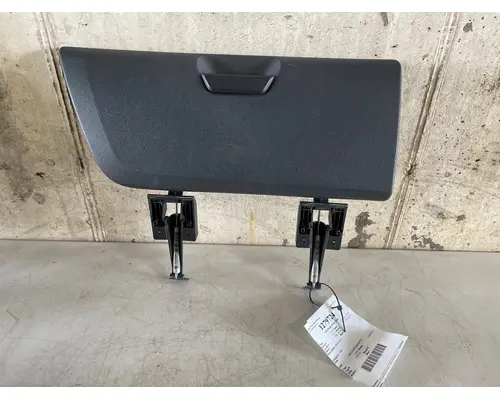 Door Panel (Trim) FREIGHTLINER CASCADIA Valley Truck - Grand Rapids