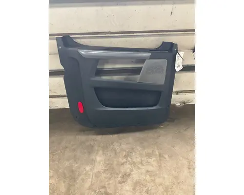 Door Panel (Trim) FREIGHTLINER CASCADIA Valley Truck - Grand Rapids