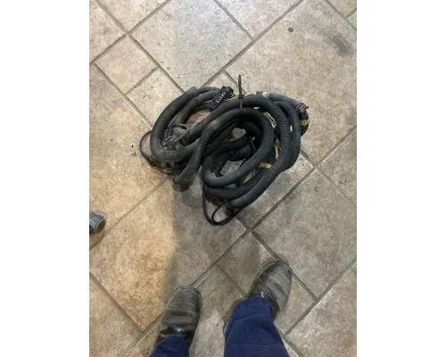 Body Wiring Harness FREIGHTLINER CENTURY CLASS 120 Truck Salvage International Inc