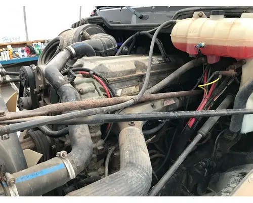Radiator Core Support Freightliner COLUMBIA 120 Vander Haags Inc Cb