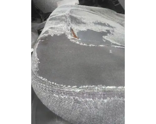 Seat, Front FREIGHTLINER M2 106 LKQ Thompson Motors - Wykoff