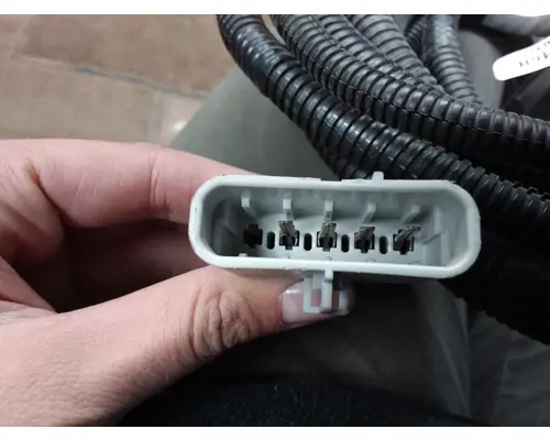 Freightliner Other Dash Wiring Harness