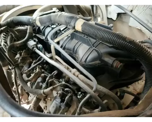 GM/Chev (HD) 4.8 Engine Assembly