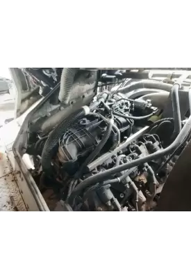 GM/Chev (HD) 4.8 Engine Assembly