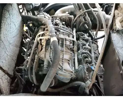 GM/Chev (HD) 4.8 Engine Assembly