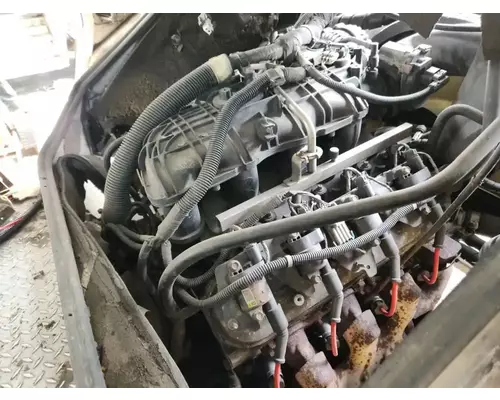GM/Chev (HD) 4.8 Engine Assembly