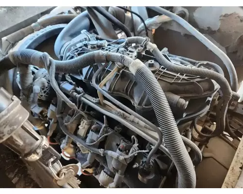 GM/Chev (HD) 4.8 Engine Assembly