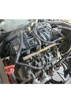 GM/Chev (HD) 6.0L Engine Assembly