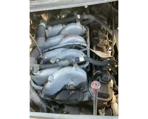 GM/Chev (HD) 8.1L GAS Engine Assembly