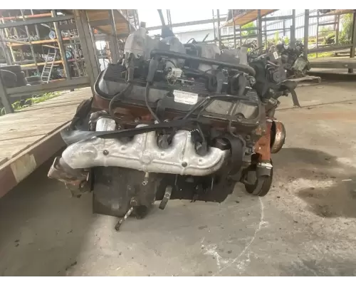 GM/Chev (HD) 8.1L GAS Engine Assembly