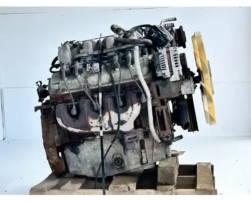 GM/Chev (HD) 8.1L GAS Engine Assembly