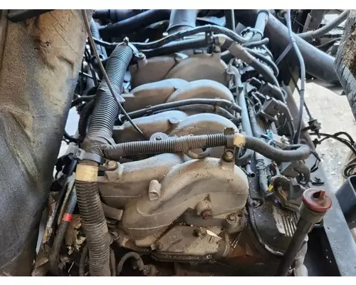 GM/Chev (HD) 8.1L Engine Assembly