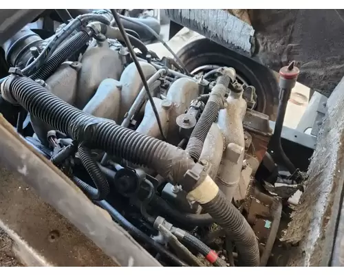 GM/Chev (HD) 8.1L Engine Assembly
