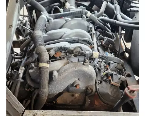 GM/Chev (HD) 8.1L Engine Assembly