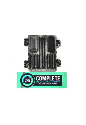 GM/Chev (HD) V8, 4.8L, Gas ECM